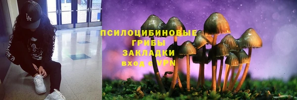 эйфоретик Абаза
