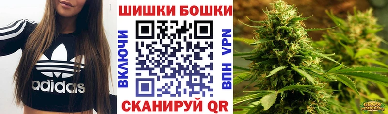 kraken ССЫЛКА Тайга Бошки Шишки индика
